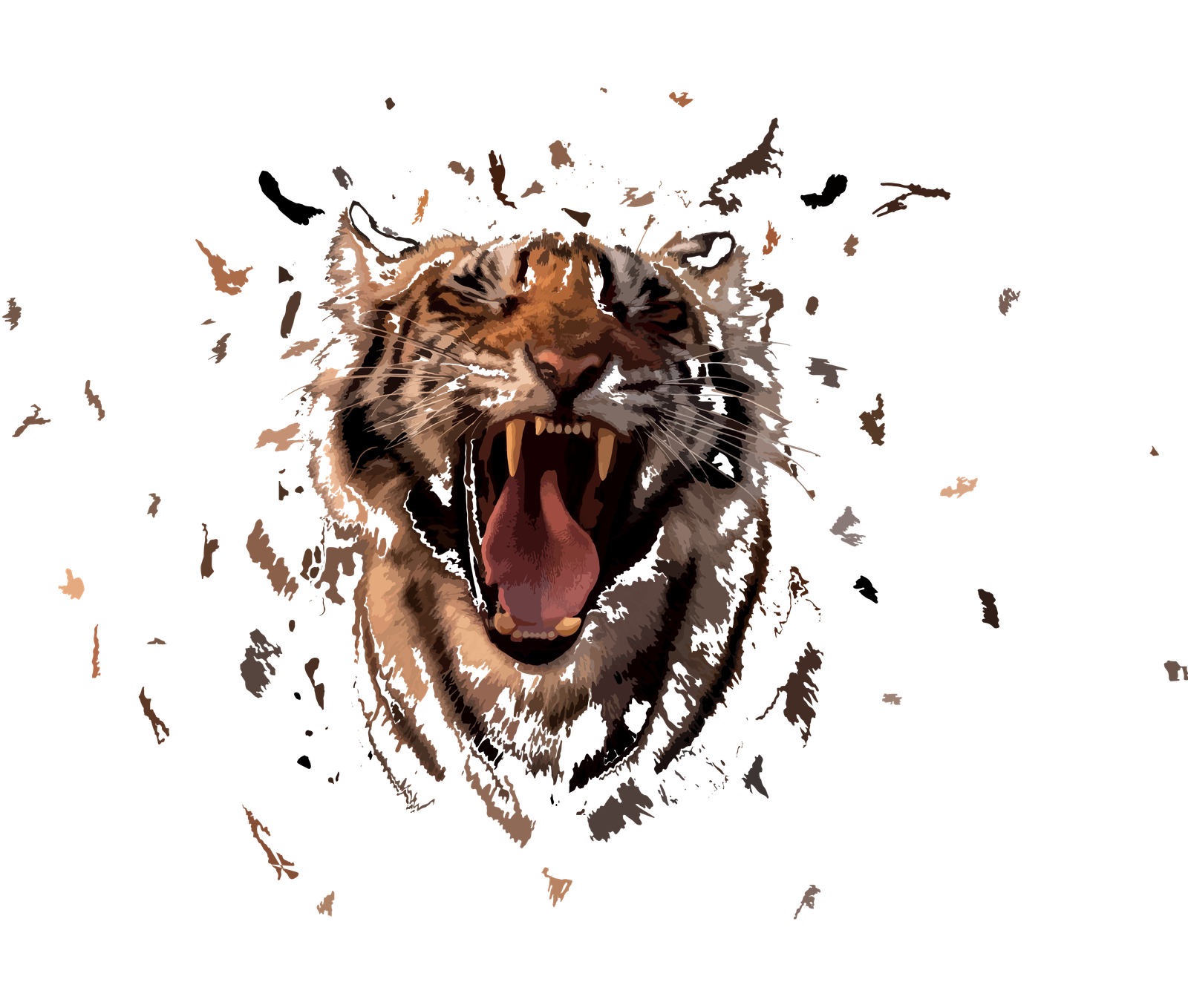 TIGER TRANSPARENT